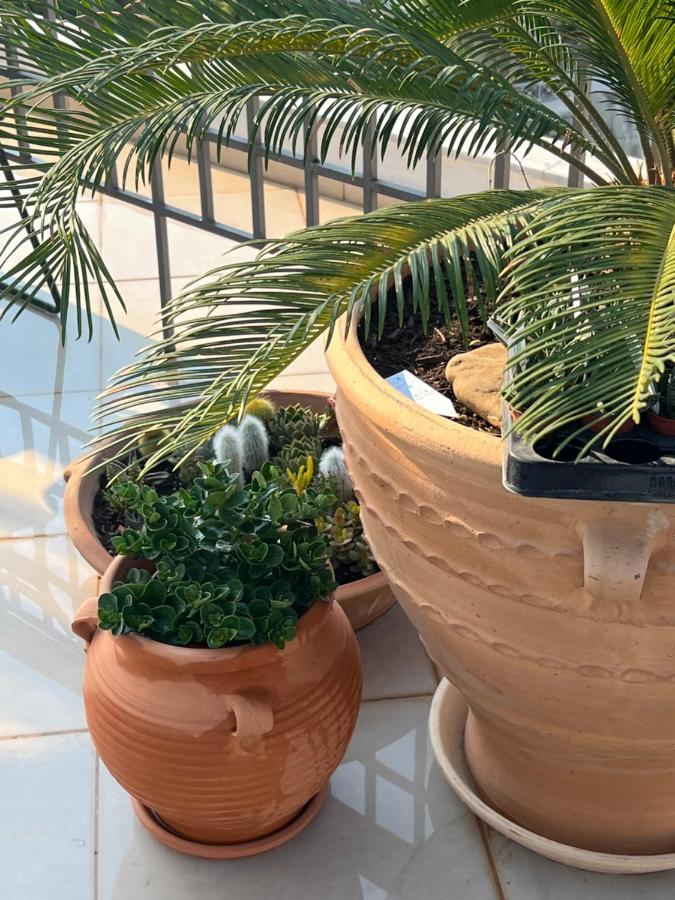 Magical Seaside Town Boutique Apts 2 Kyparissia Luaran gambar